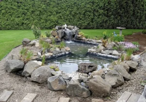 Backyard pond and small water fall
