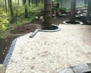 Basket Weave Paver Patio with Custom Tree Wells