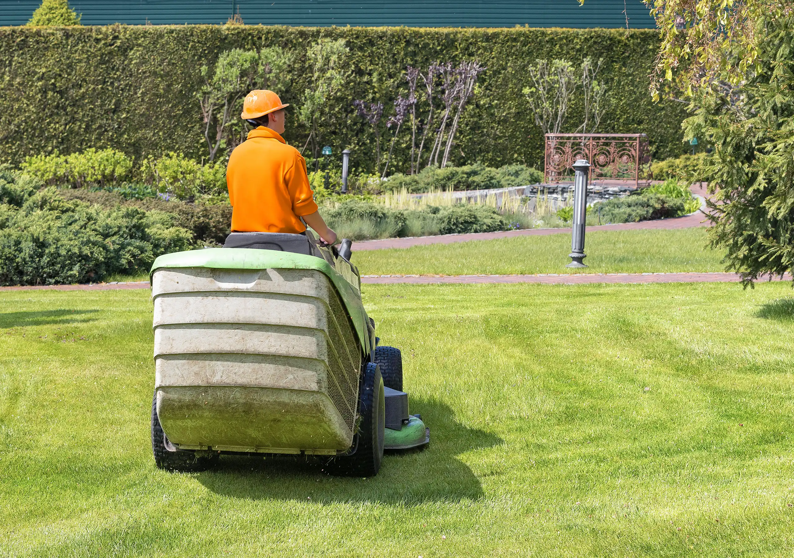 Landscape Lawn Mowing